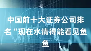 中国前十大证券公司排名“现在水清得能看见鱼