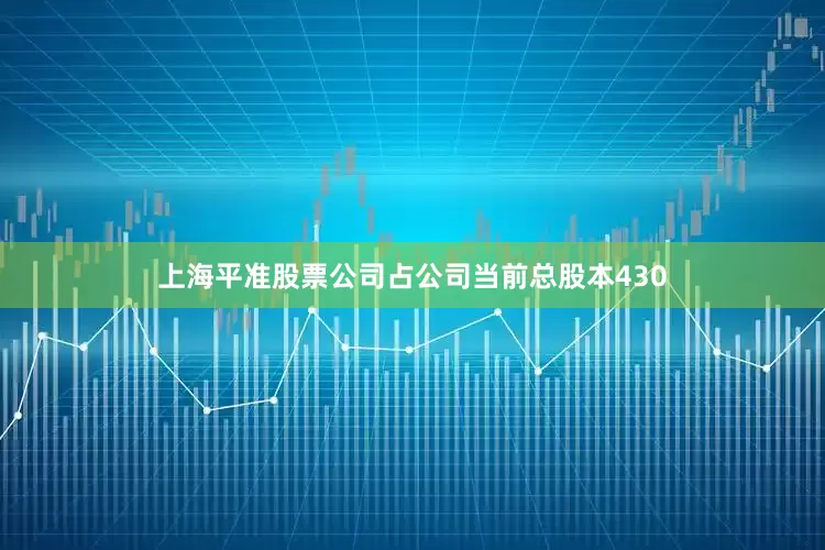 上海平准股票公司占公司当前总股本430