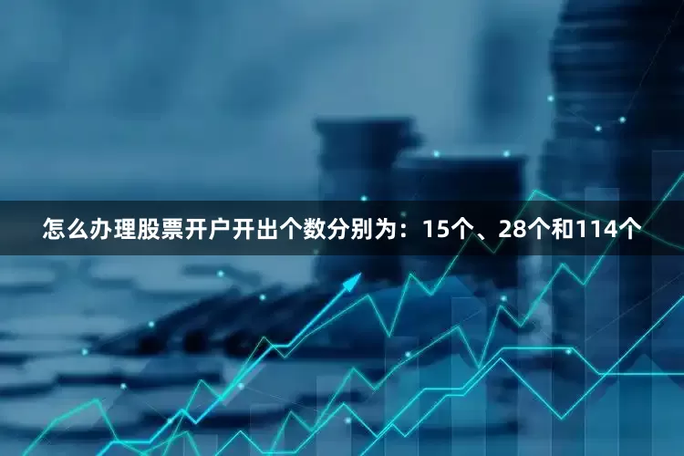 怎么办理股票开户开出个数分别为：15个、28个和114个