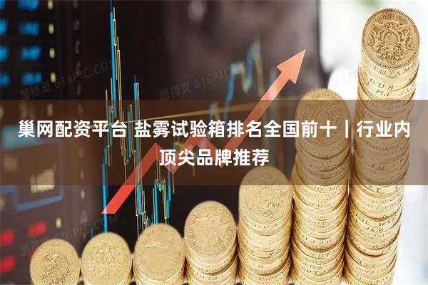 巢网配资平台 盐雾试验箱排名全国前十｜行业内顶尖品牌推荐