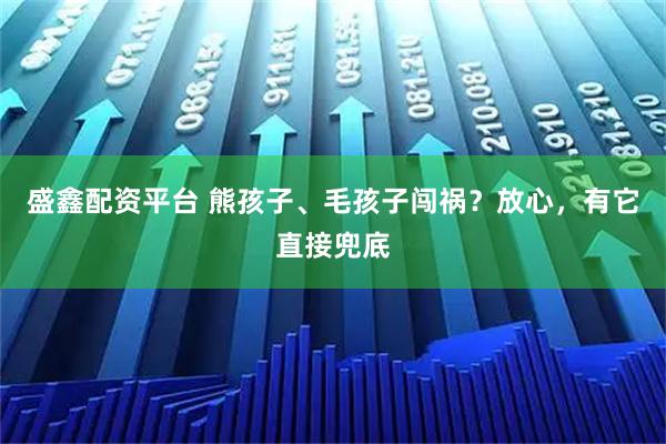盛鑫配资平台 熊孩子、毛孩子闯祸？放心，有它直接兜底