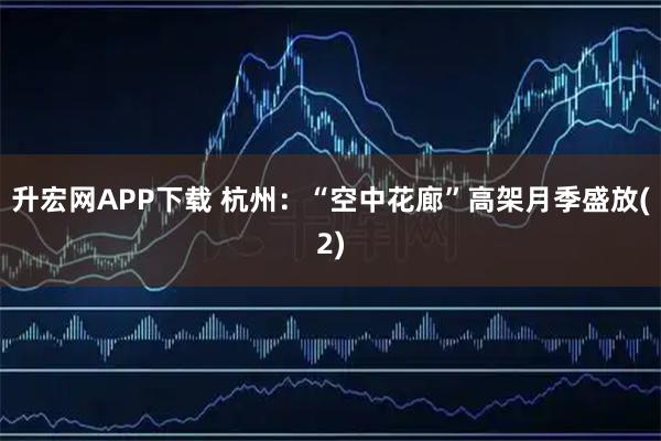 升宏网APP下载 杭州：“空中花廊”高架月季盛放(2)